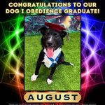 August after completing class
