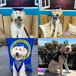 Hudson after completing class