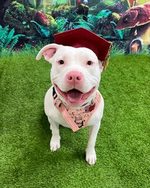 Penelope after completing class