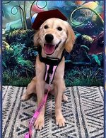 Sunny after completing class