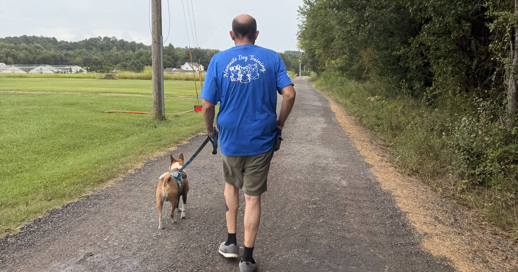 Will walking a dog on-leash during a one-on-one training session
